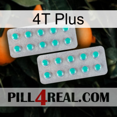 4T Plus 29